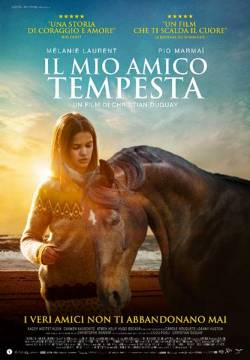 Il mio amico Tempesta (2022)